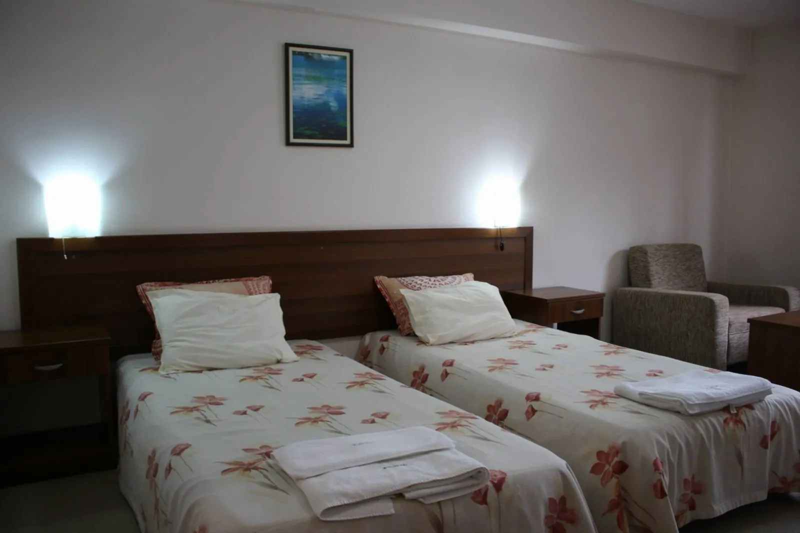 Single room RO at Hotel Kralev Dvor