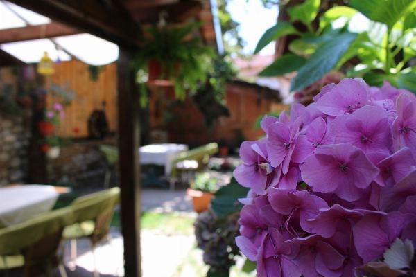 Hotel Kralev Dvor and Bansko — gallery photograph 12